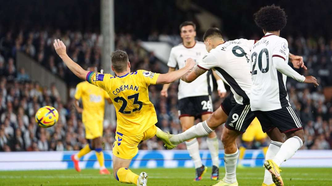 EPL Highlights Fulham 0 - 0 Everton